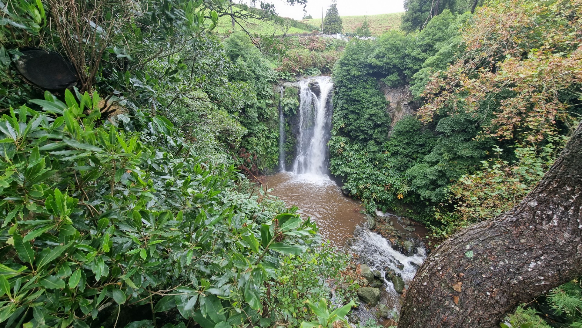 Cascata do Cruzal (Ilha de São Jorge)
