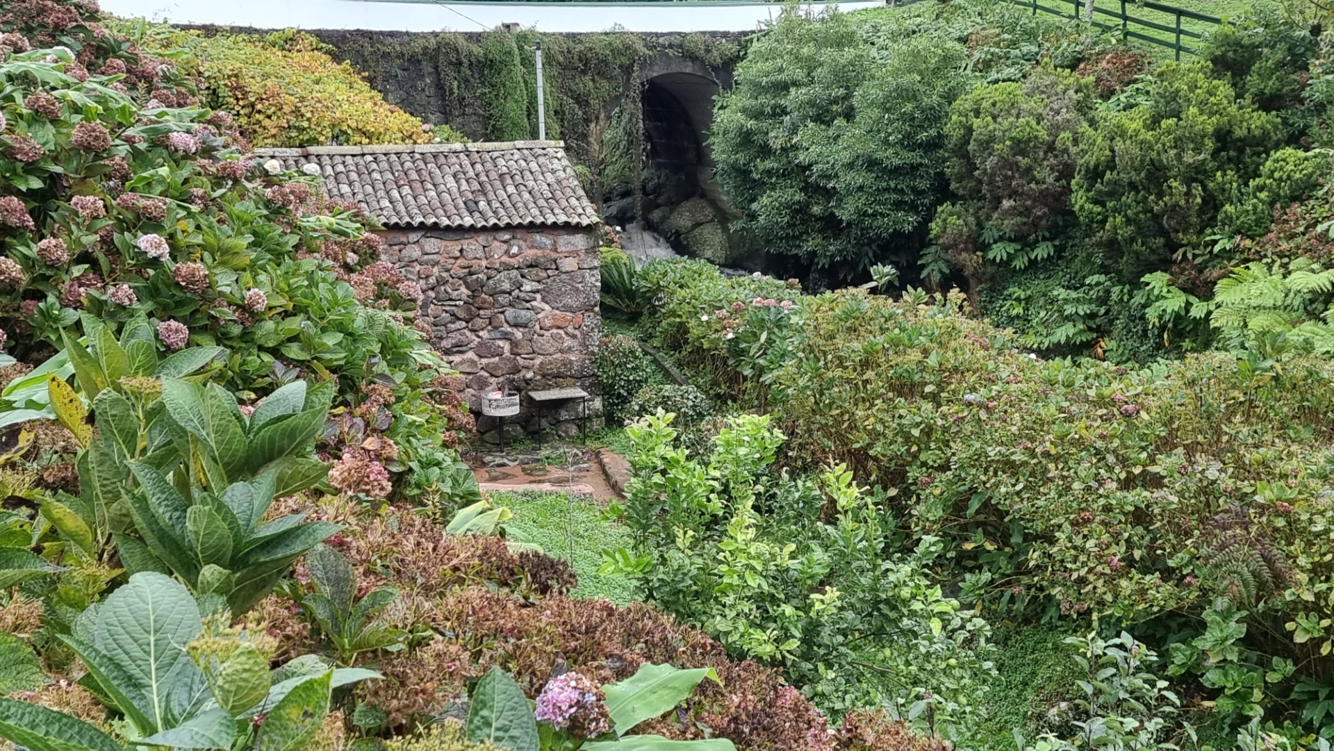 Cascata do Cruzal (Ilha de São Jorge)