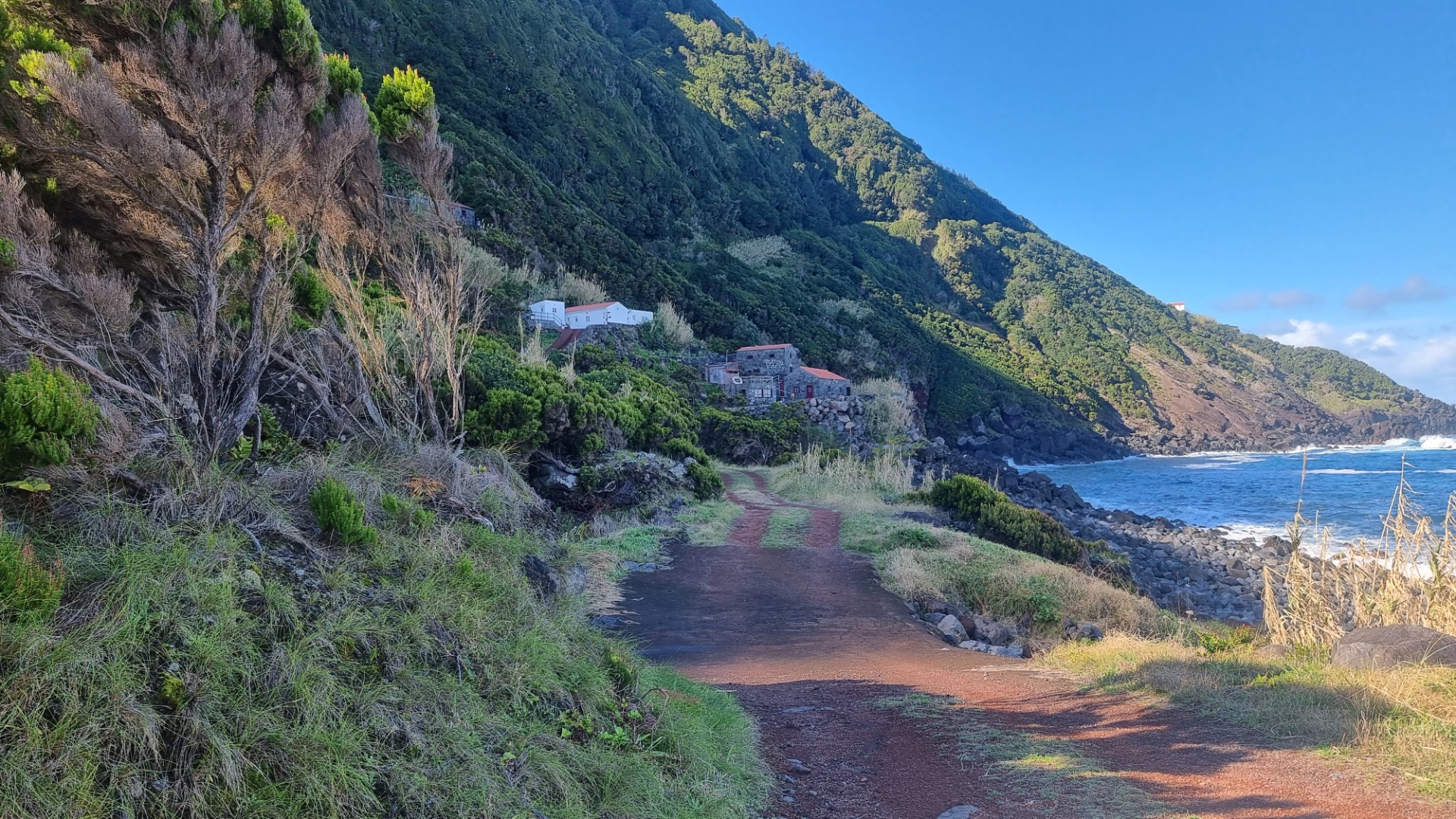 Fajã da Penedia (ilha de São Jorge)