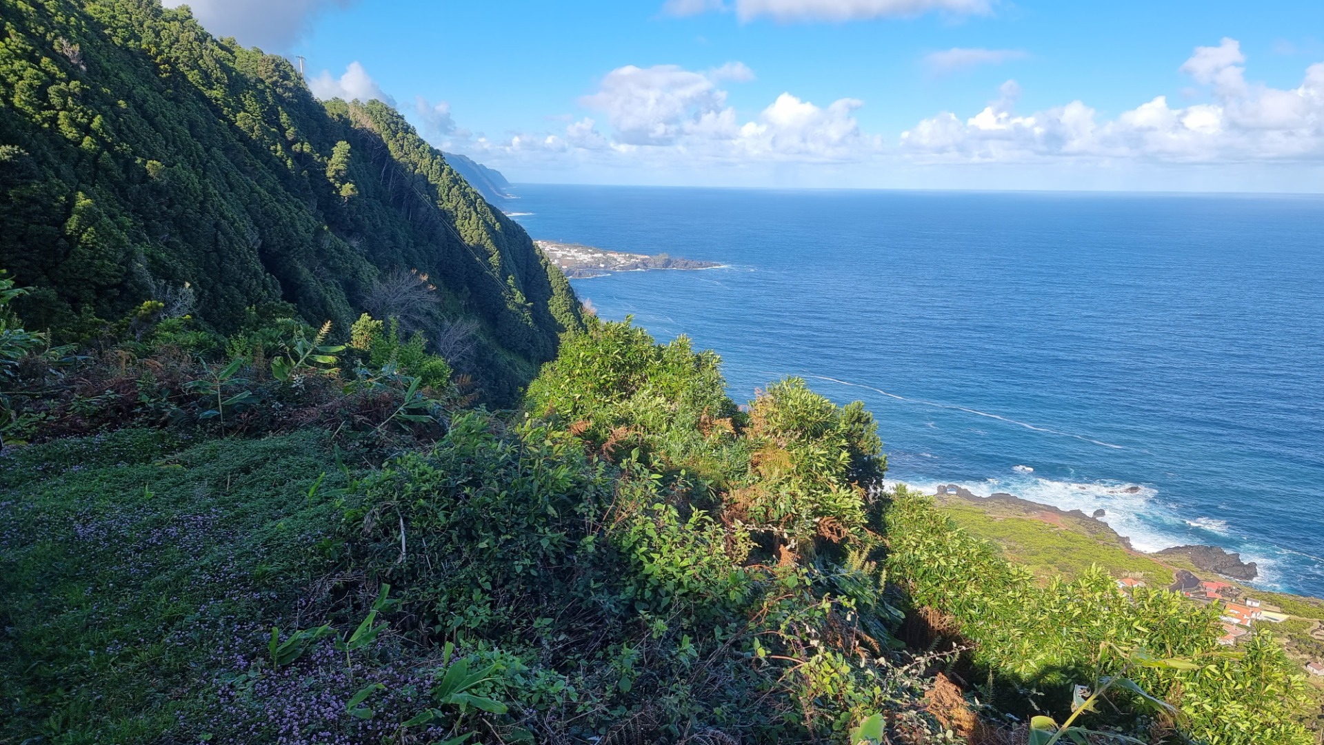 Fajã da Ribeira da Areia (Ilha de São Jorge)