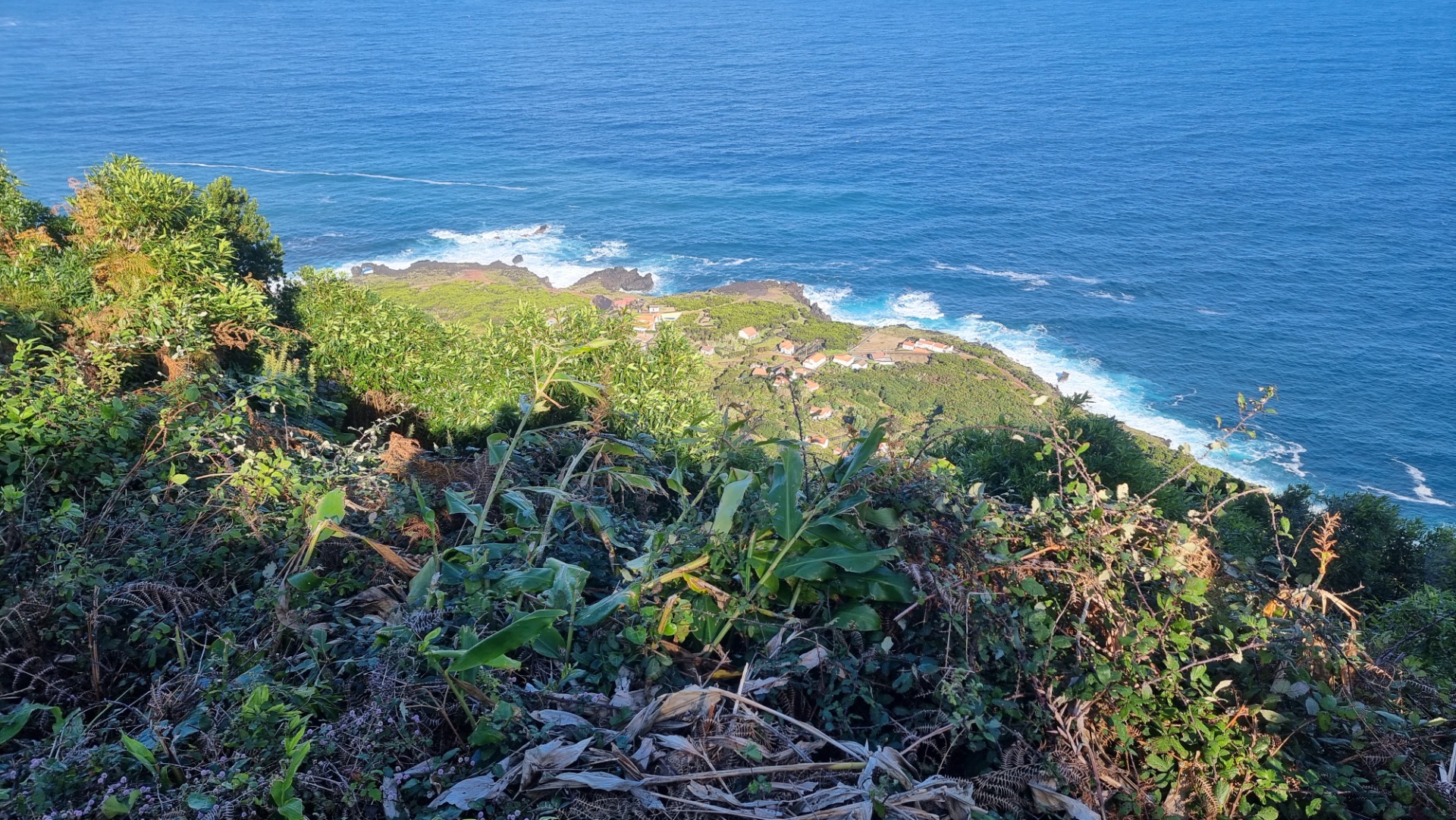 Fajã da Ribeira da Areia (Ilha de São Jorge)