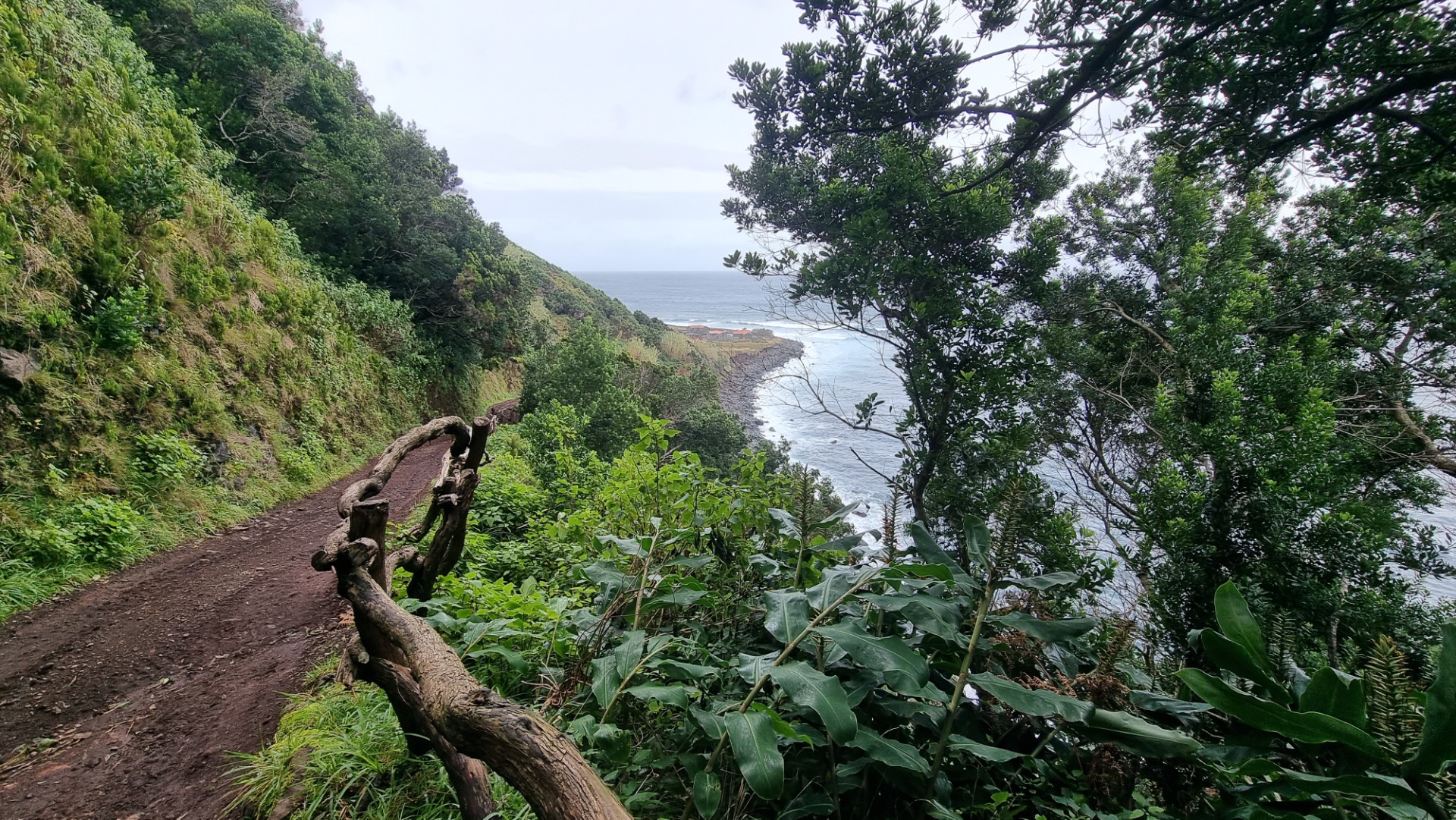 Fajã de Santo Cristo (Ilha de São Jorge)
