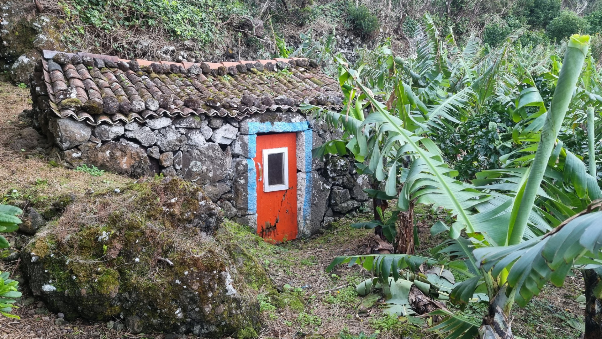 Fajã do Ouvidor (Ilha de São Jorge)