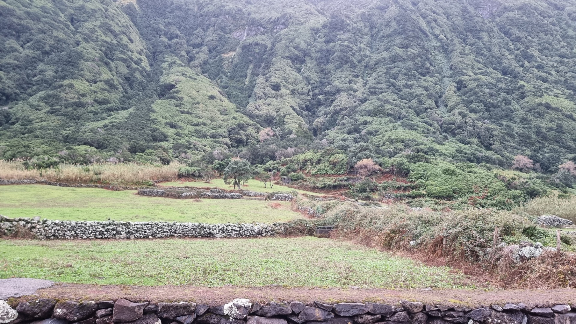 Fajã dos Cubres (Ilha de São Jorge)