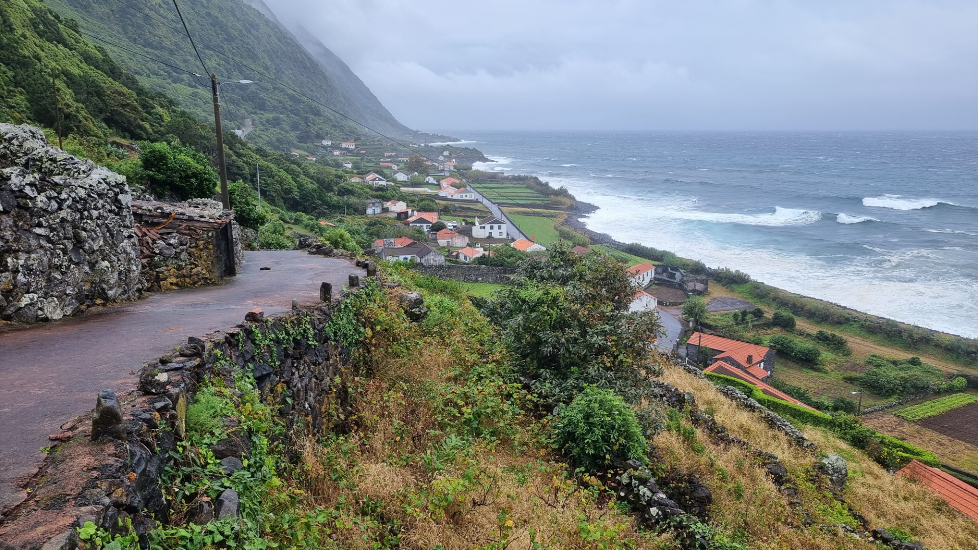 Fajã dos Vimes (Ilha de São Jorge)