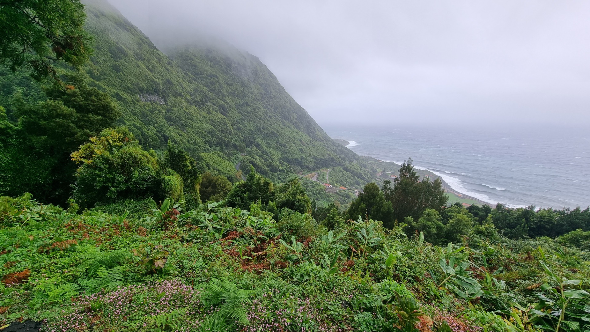 Fajã dos Vimes (Ilha de São Jorge)