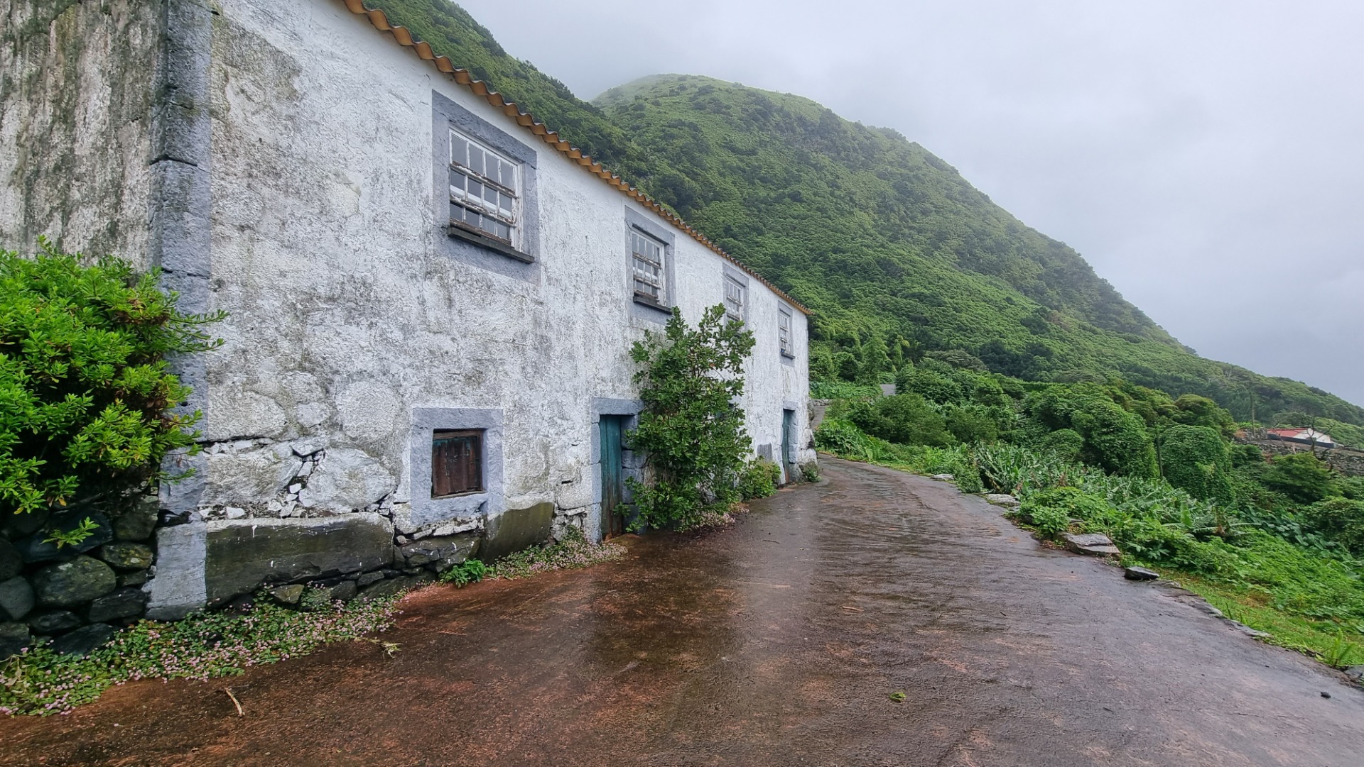 Fajã dos Vimes (Ilha de São Jorge)