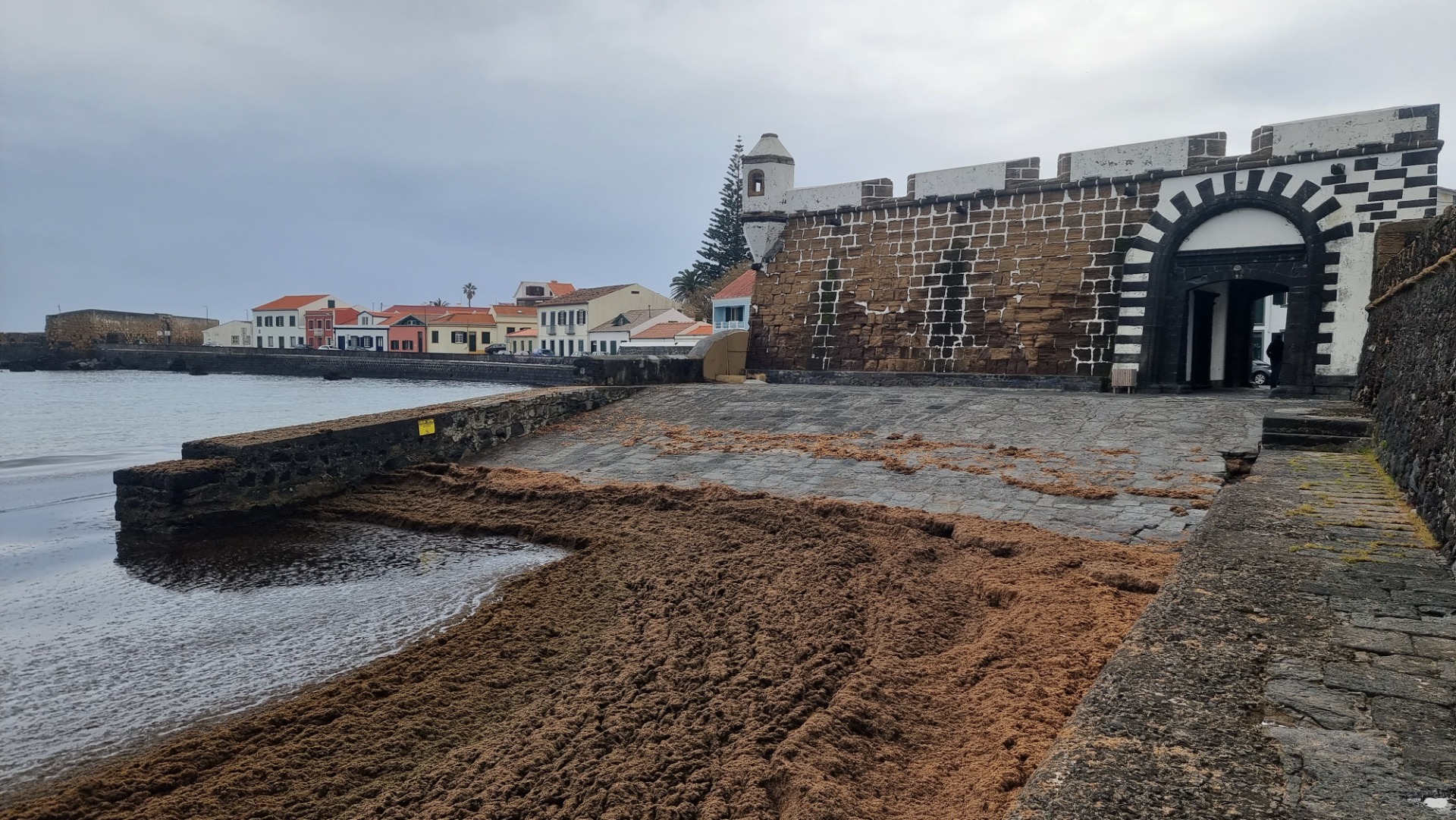Visitando a Ilha do Faial (Açores)