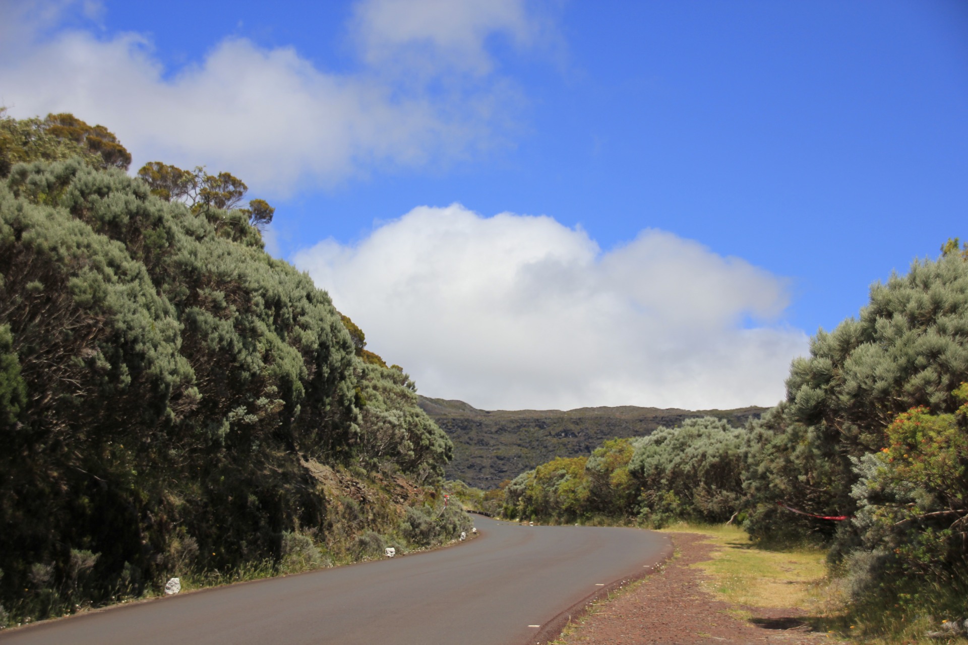 Ilha de Reunião