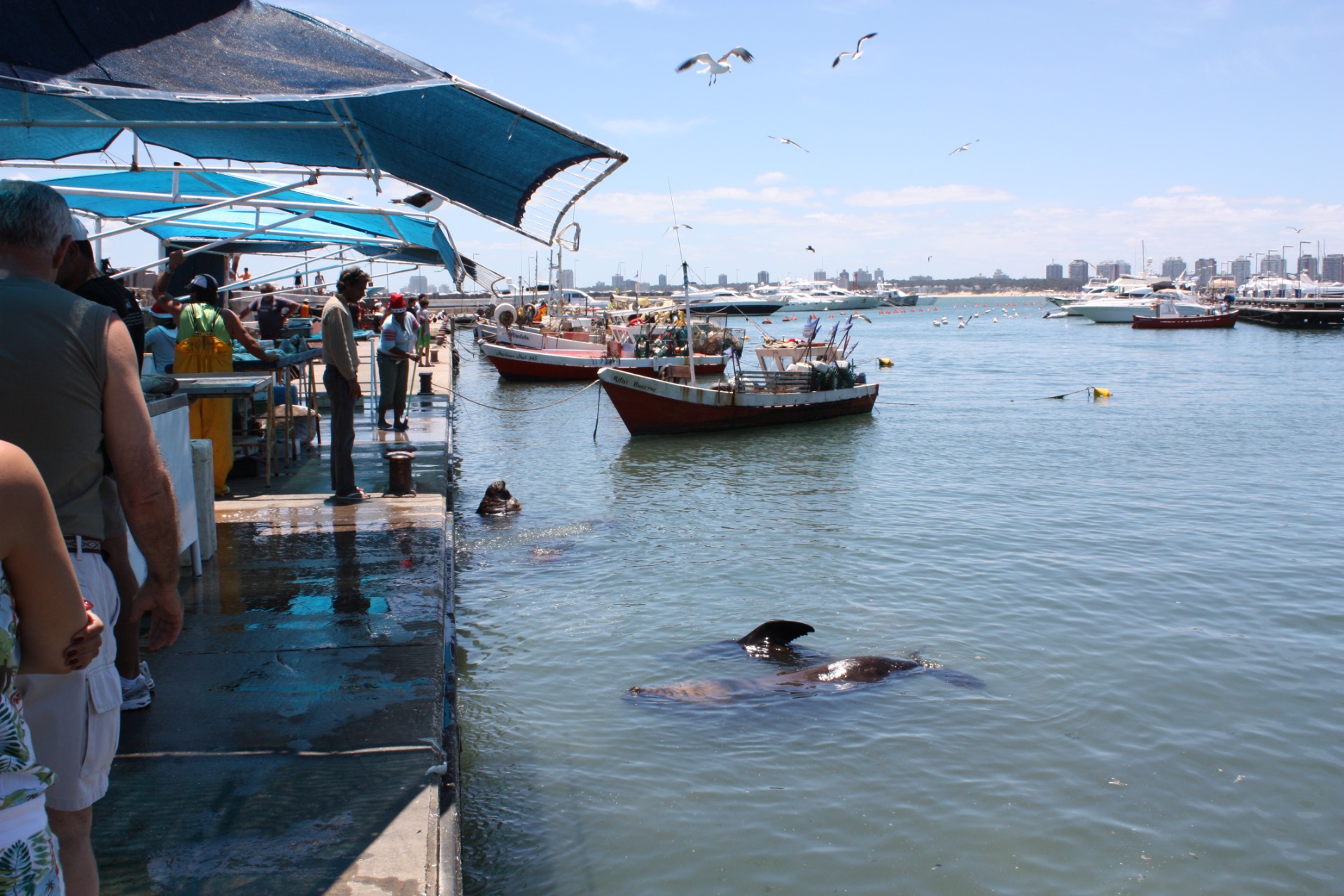 Punta del Este. Uruguai