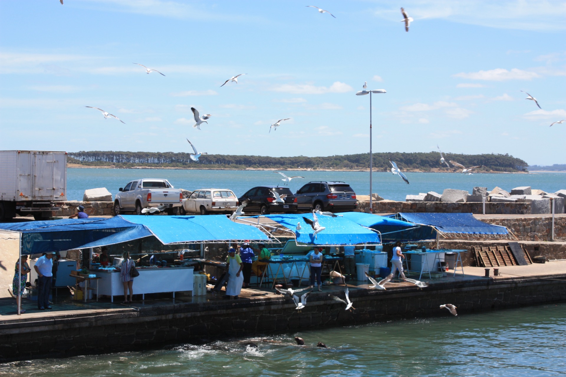 Punta del Este. Uruguai