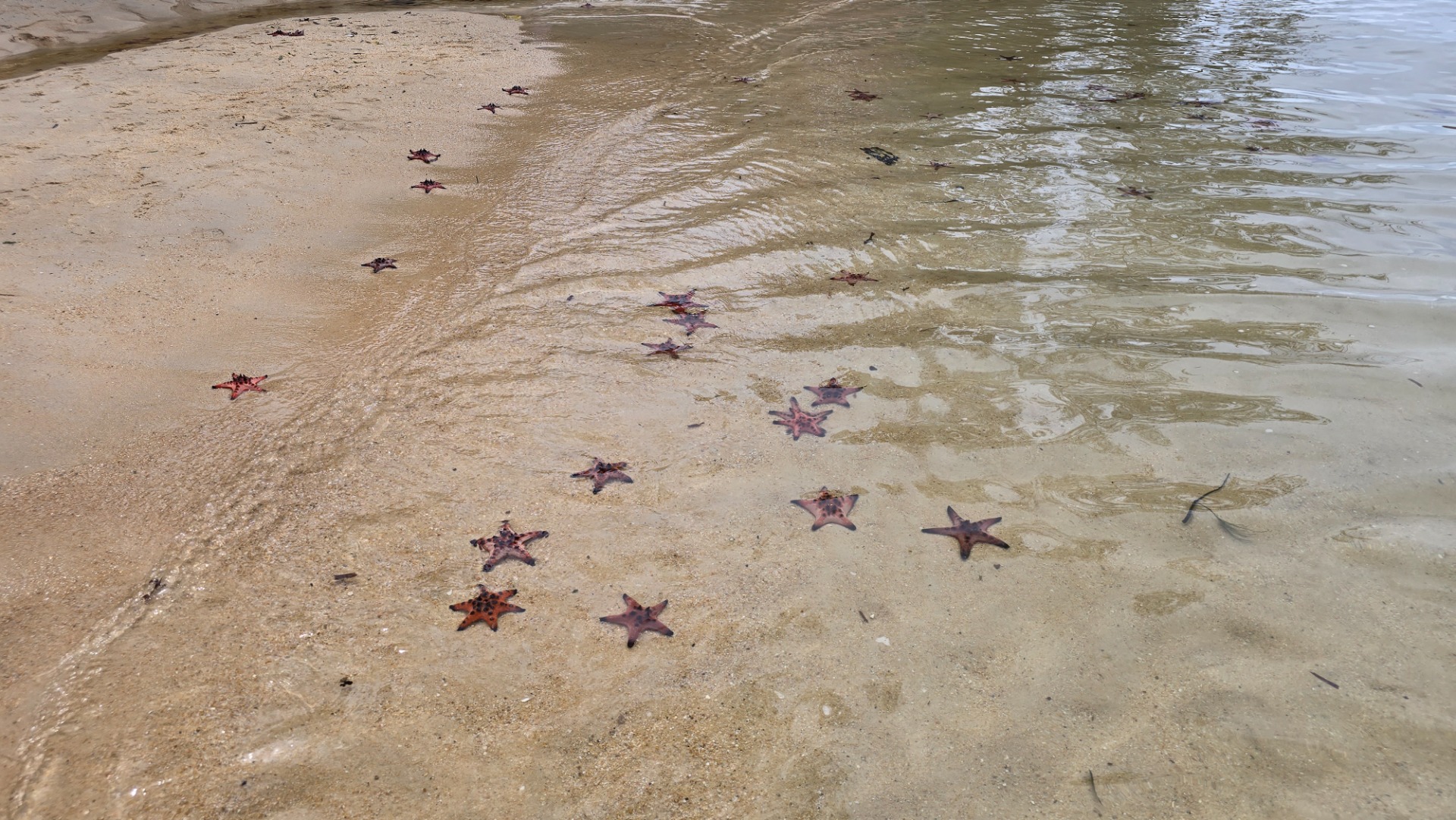 Phu Quoc - Praia das Estrelas (Star Beach)