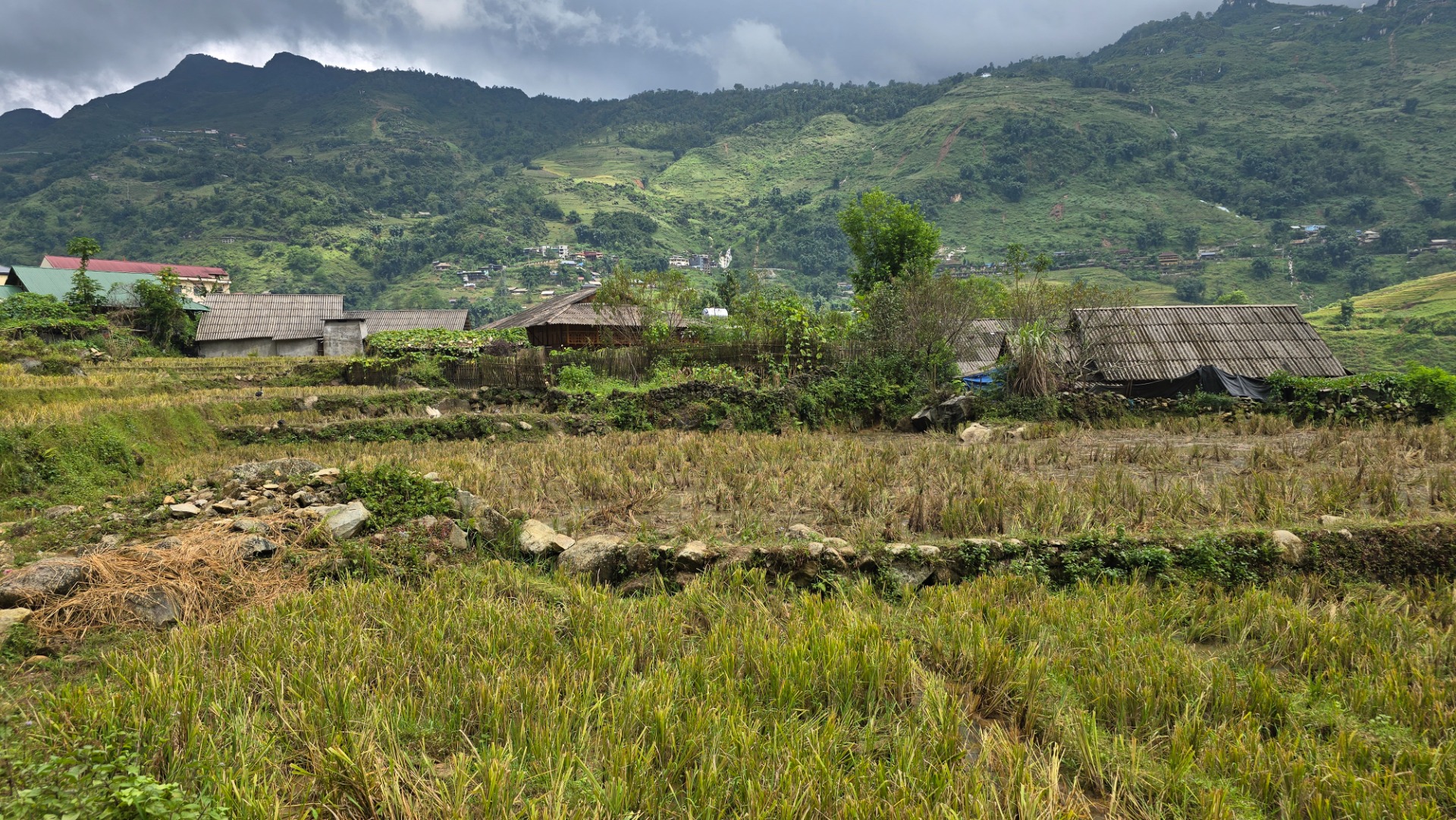 SaPa e os terraços de arroz no norte do Vietname