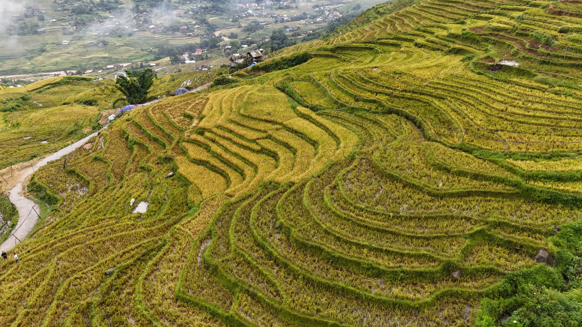 SaPa e os terraços de arroz no norte do Vietname