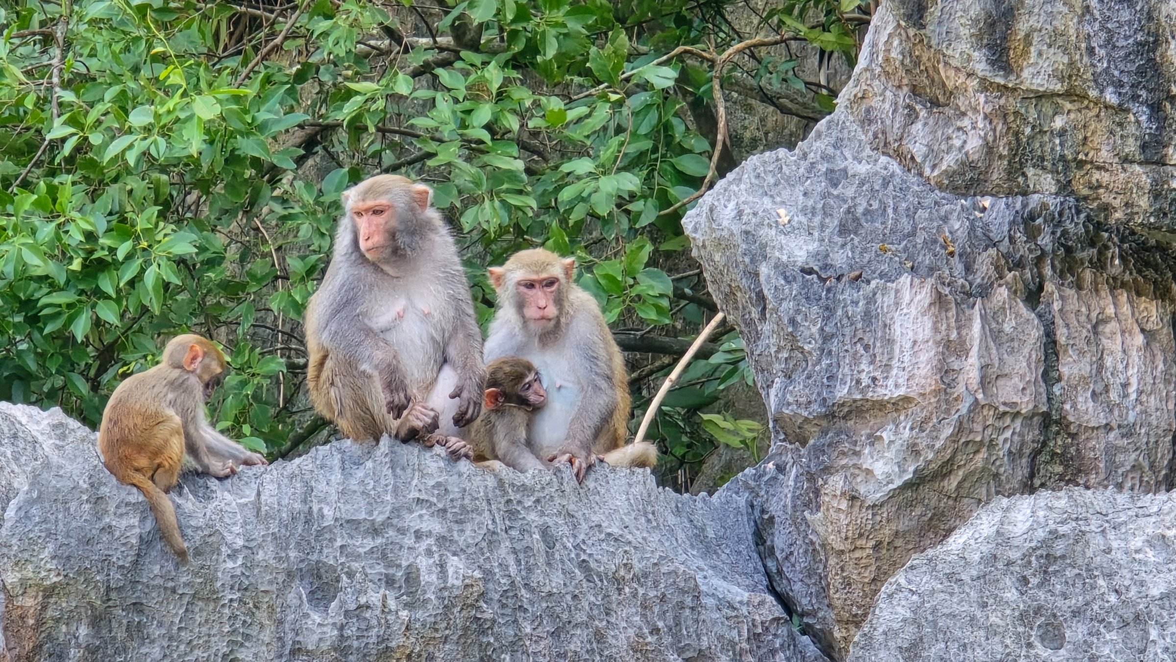 Com base em Hanoi, fomos visitar HaLong em tour de 1 dia