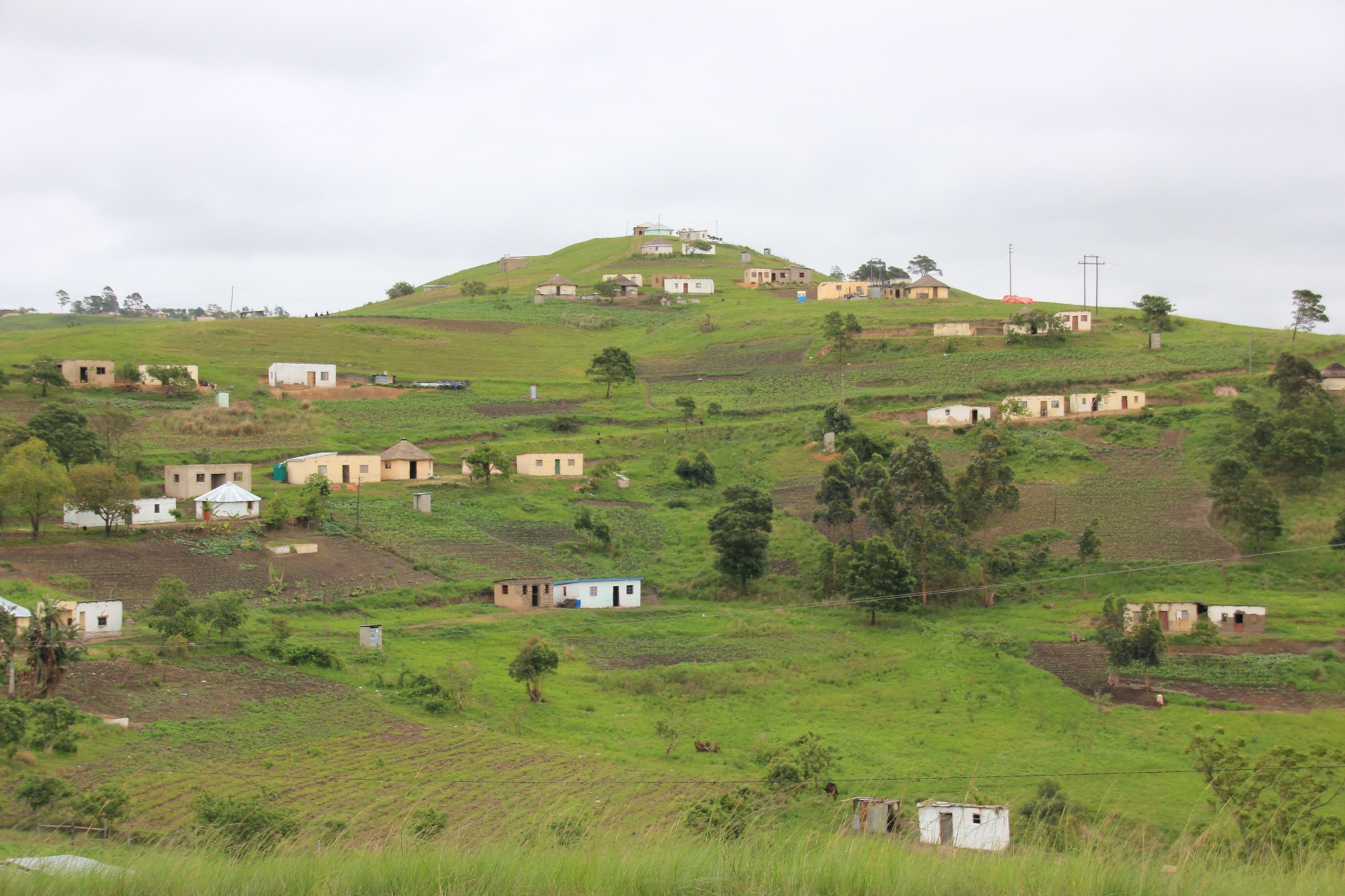 Pelas estradas de Durban a Knysna