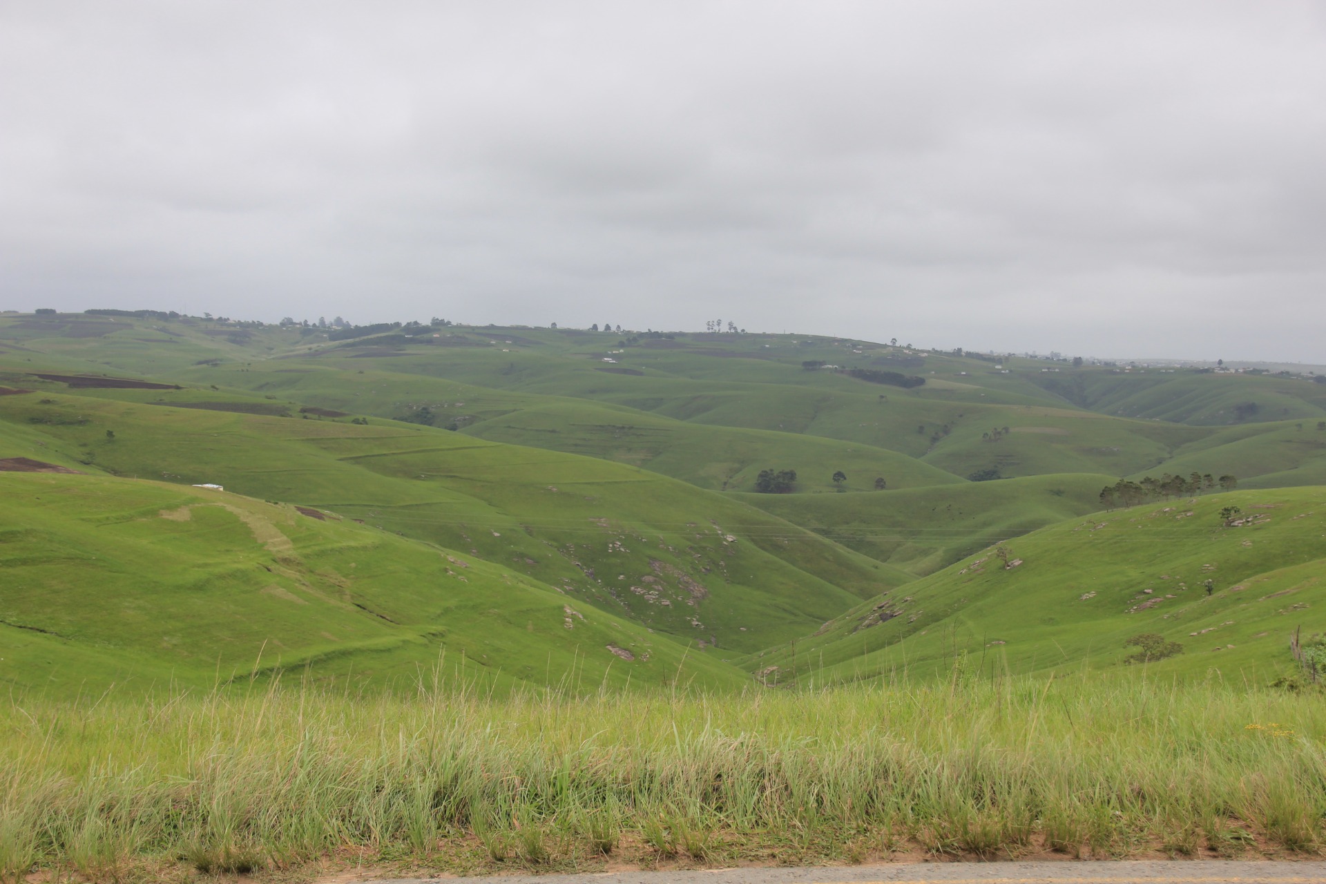 Pelas estradas de Durban a Knysna