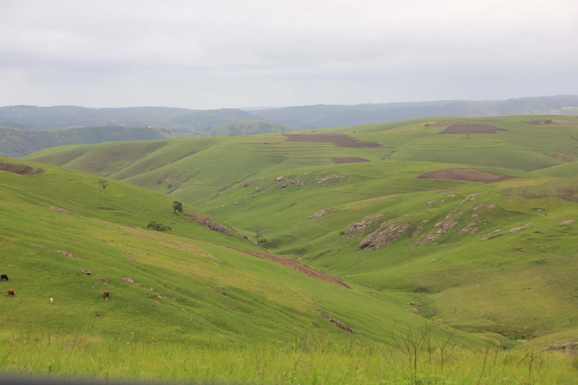 Pelas estradas de Durban a Knysna