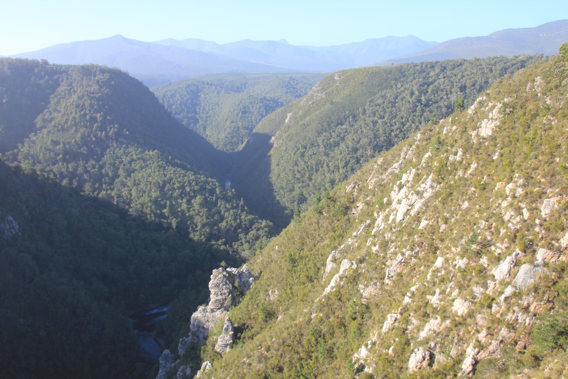 Pelas estradas de Durban a Knysna