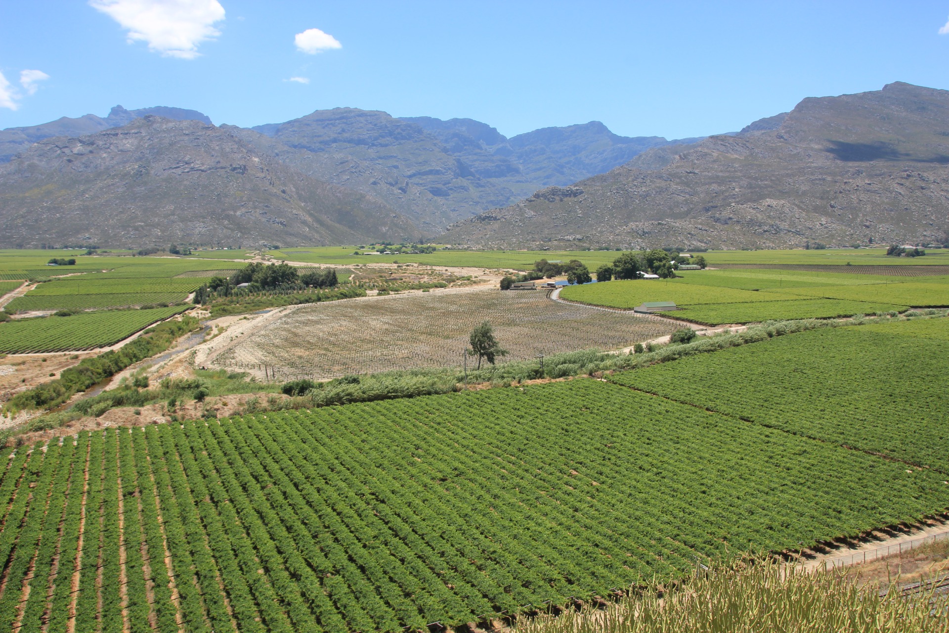Pela estrada de Cape Town a Joanesburgo