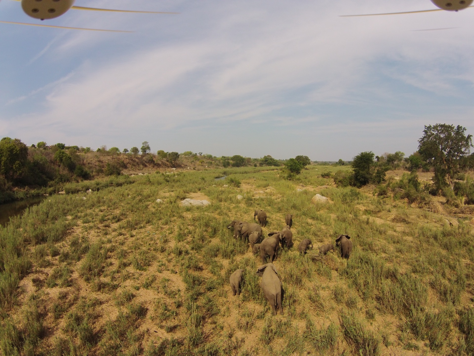 Krugger National Park