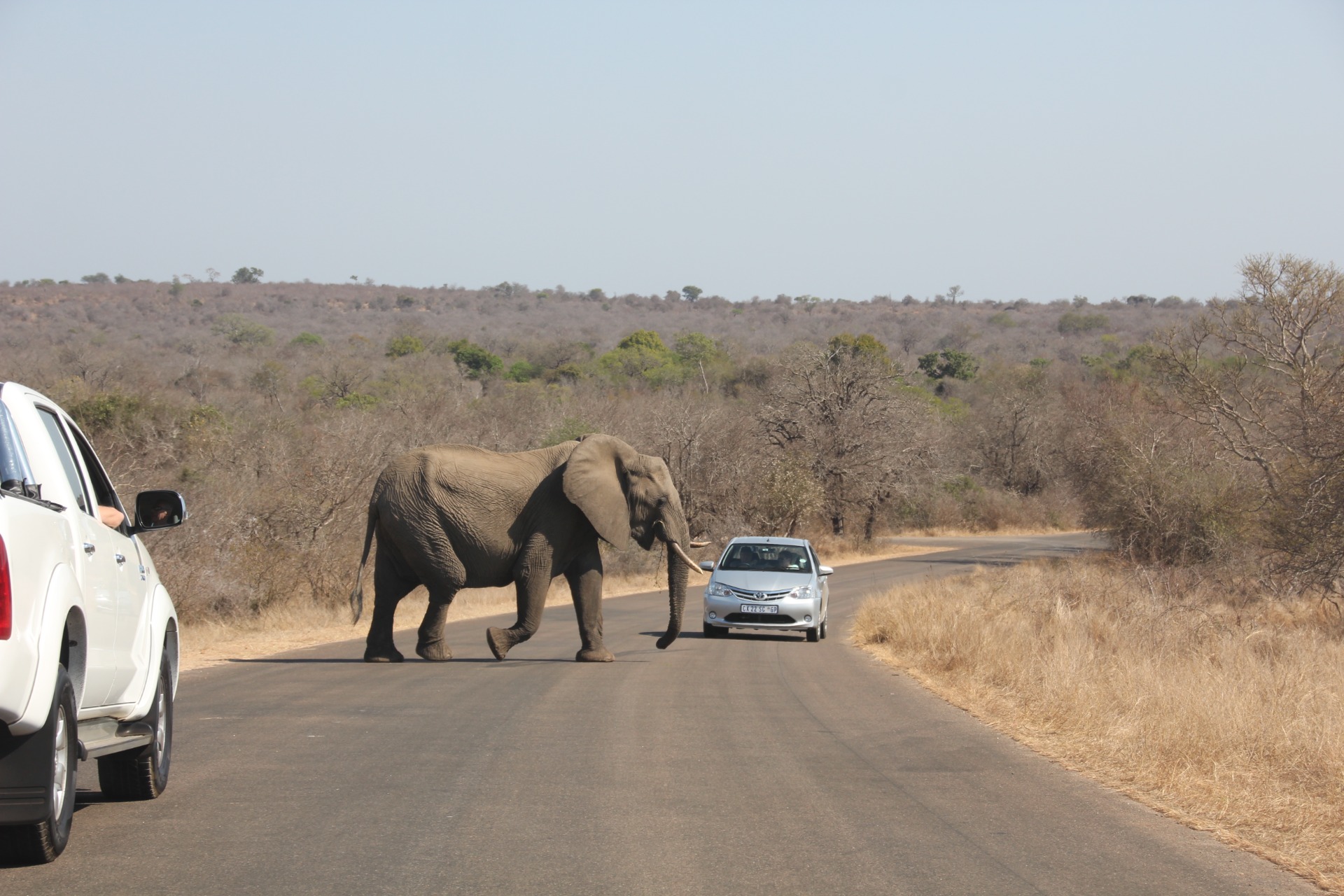 Krugger National Park