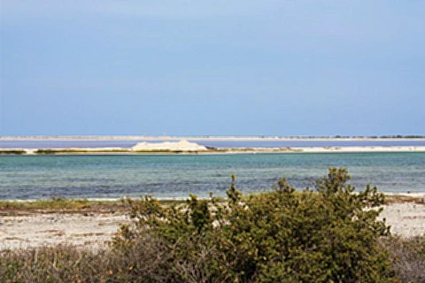 Salinas - Bonaire