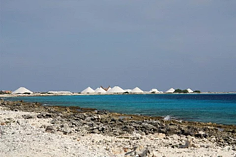 Mar de Bonaire