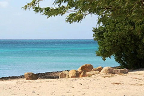 Praias de Aruba