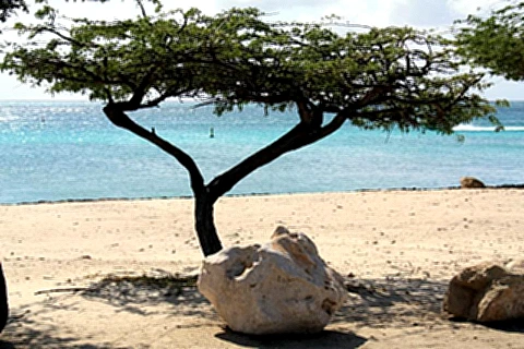 Praias de Aruba