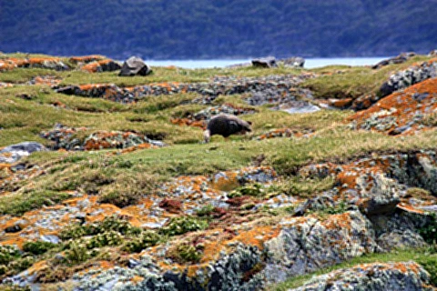 Paisagens de Ushuaia
