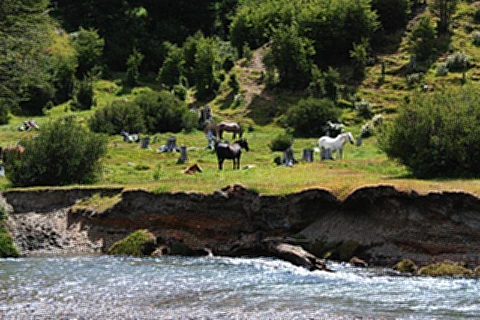 Paisagens do Parque Nacional Terra del Fuego