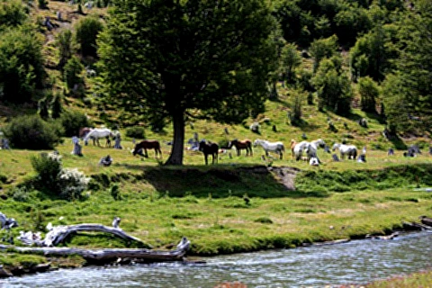 Paisagens do Parque Nacional Terra del Fuego