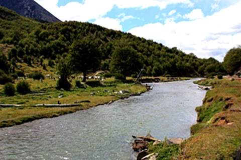 Paisagens do Parque Nacional Terra del Fuego