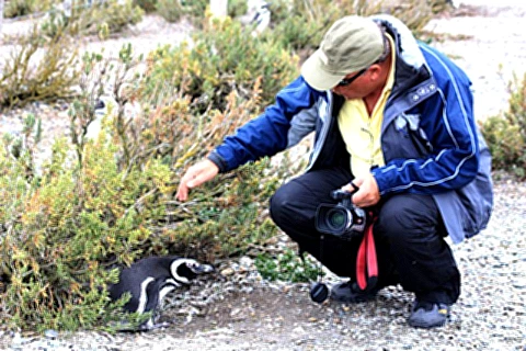 Eu acariciando o pinguim