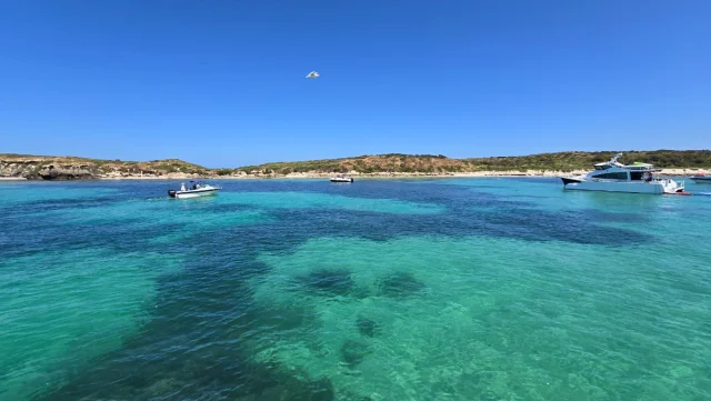 Carnac Island, Perth - Australia