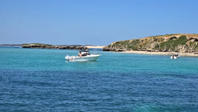 Carnac Island, Perth - Australia