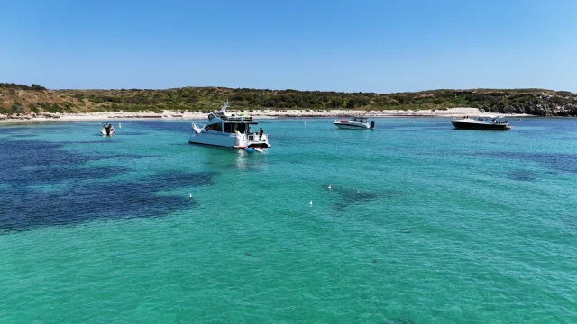 Carnac Island, Perth - Australia