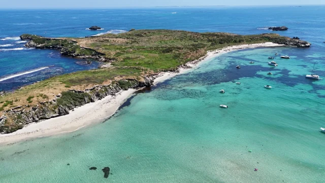 Carnac Island, Perth - Australia