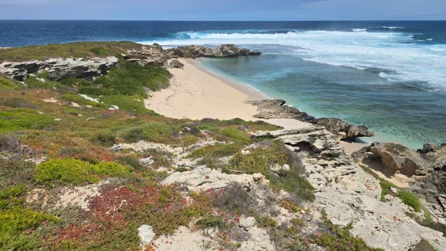 Rosttnet Island, Perth - Austrália