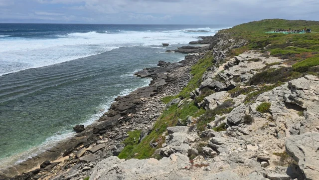 Rosttnet Island, Perth - Austrália