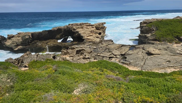 Rosttnet Island, Perth - Austrália
