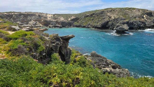 Rosttnet Island, Perth - Austrália