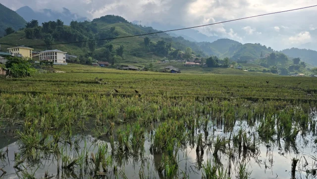 Sa Pa (SaPa) Norte Vietname