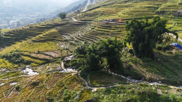 Sa Pa (SaPa) Norte Vietname