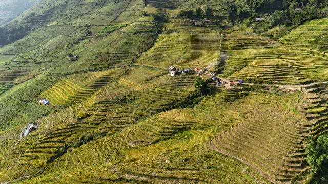 Sa Pa (SaPa) Norte Vietname