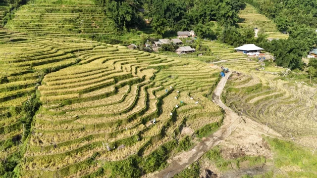 Sa Pa (SaPa) Norte Vietname