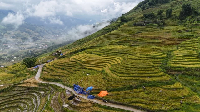 Sa Pa (SaPa) Norte Vietname