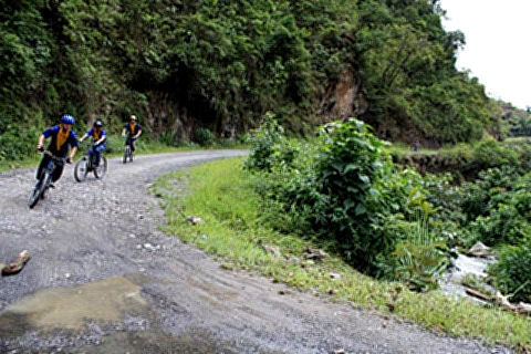 Ruta de la Muerte