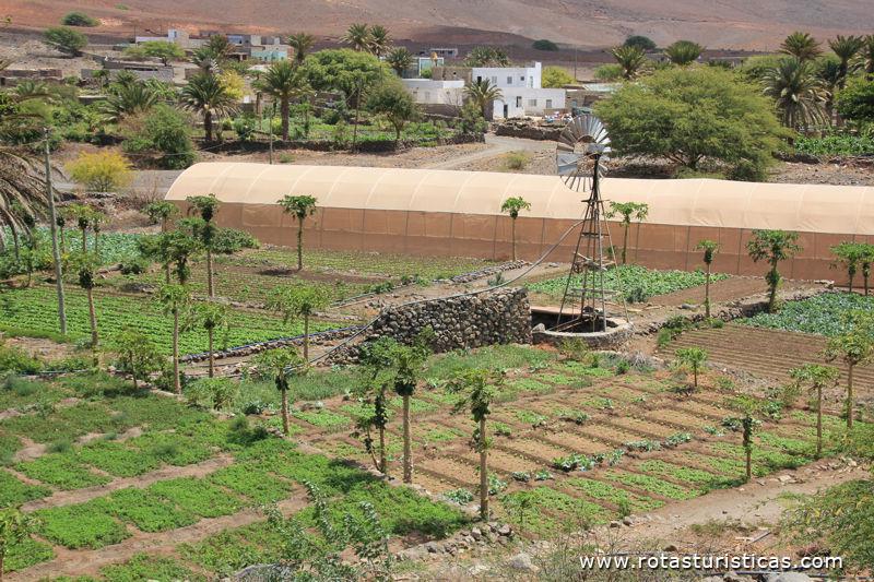 A única zona agrícola de São Vicente - Vale da Ribeira do Calhau